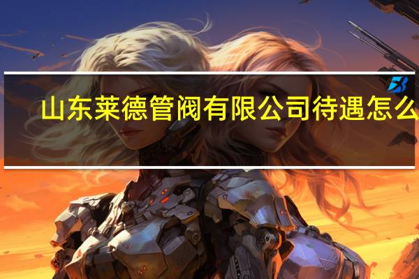 山东莱德管阀有限公司待遇怎么样