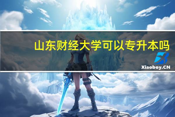山东财经大学可以专升本吗