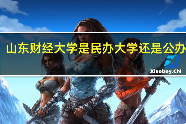 山东财经大学是民办大学还是公办大学