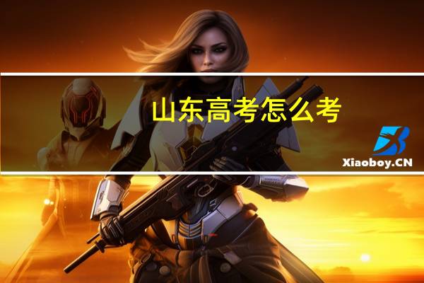 山东高考怎么考