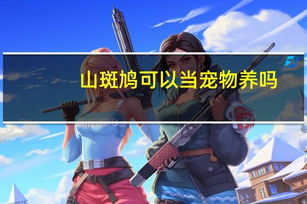 山斑鸠可以当宠物养吗