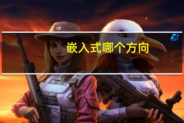 嵌入式 哪个方向