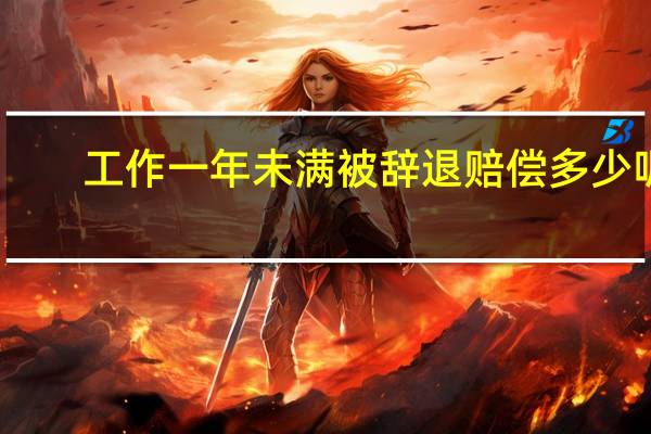 工作一年未满被辞退赔偿多少呢