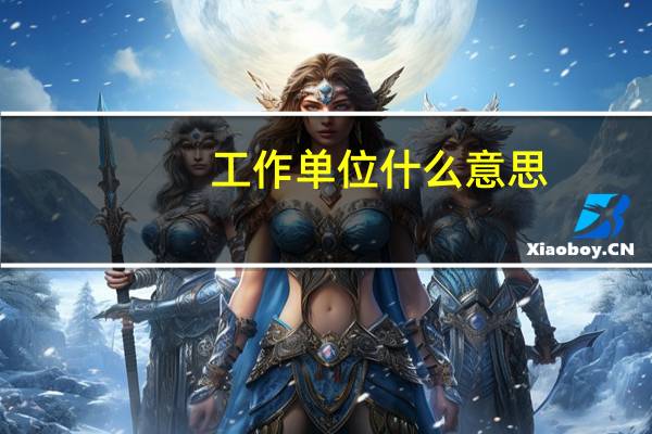 工作单位什么意思