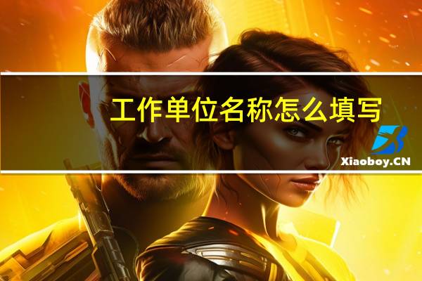 工作单位名称怎么填写