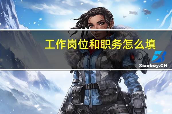 工作岗位和职务怎么填