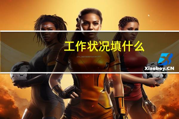 工作状况填什么