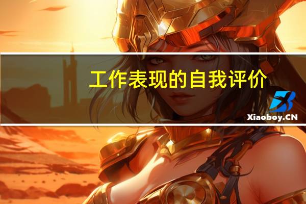 工作表现的自我评价