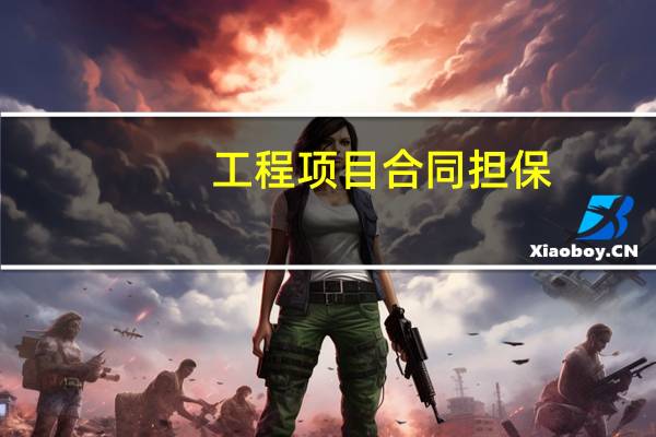 工程项目合同担保