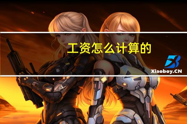 工资怎么计算的