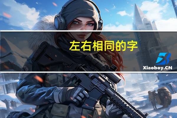 左右相同的字