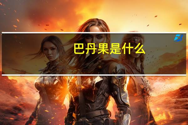 巴丹果是什么