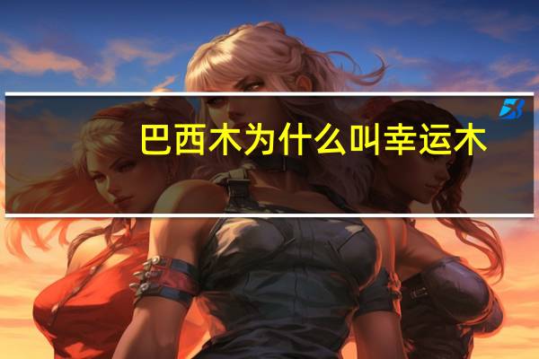 巴西木为什么叫幸运木