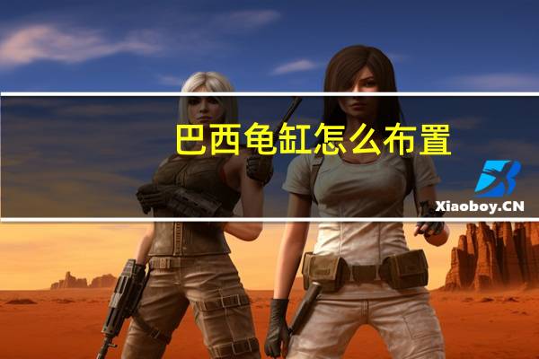 巴西龟缸怎么布置