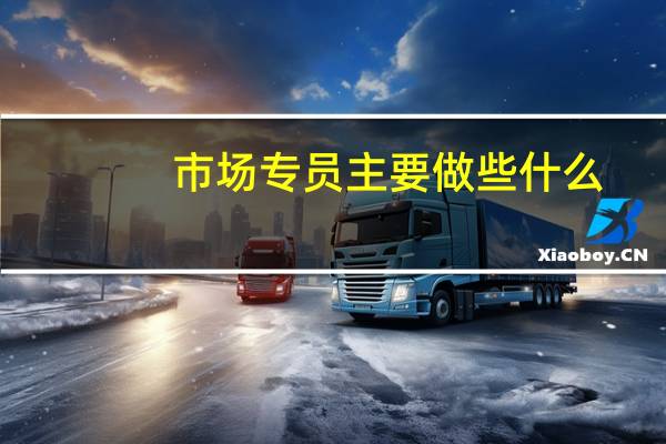 市场专员主要做些什么