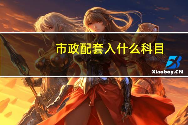 市政配套入什么科目