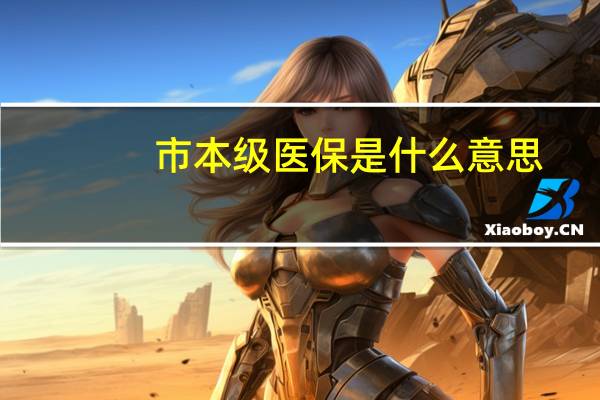 市本级医保是什么意思