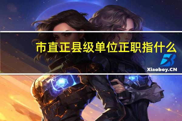 市直正县级单位正职指什么