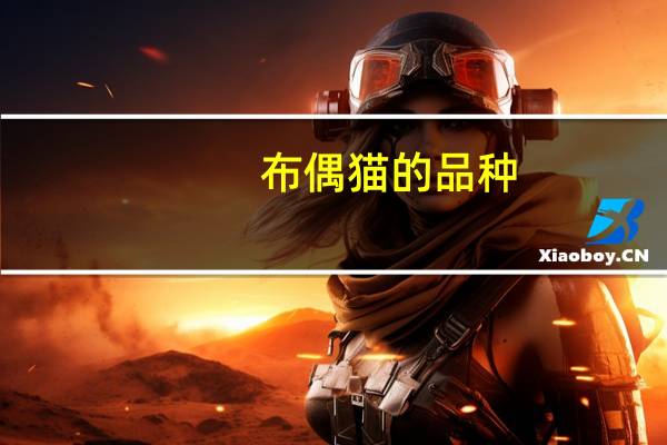 布偶猫的品种