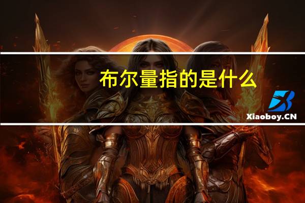 布尔量指的是什么