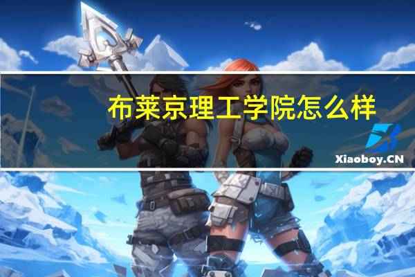 布莱京理工学院怎么样
