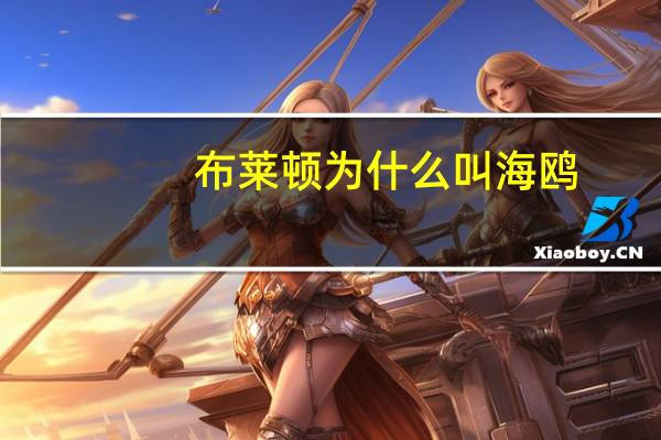 布莱顿为什么叫海鸥