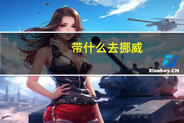带什么去挪威