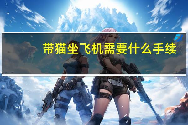 带猫坐飞机需要什么手续