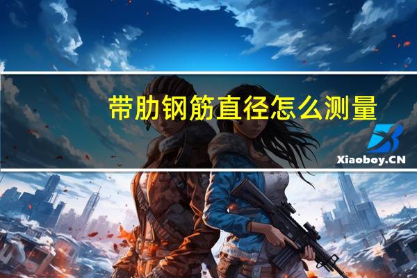 带肋钢筋直径怎么测量