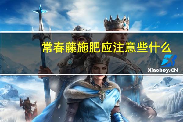 常春藤施肥应注意些什么