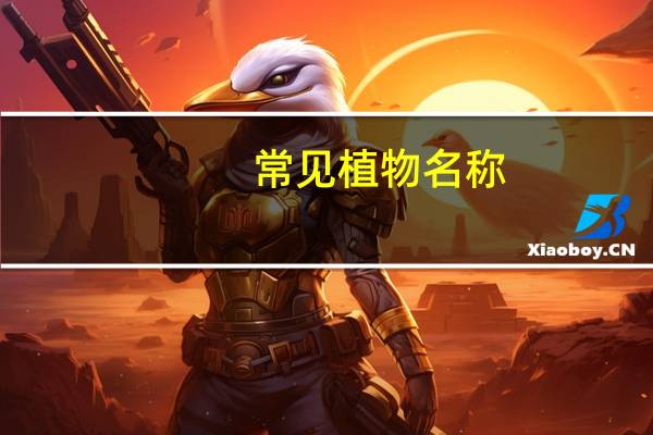 常见植物名称