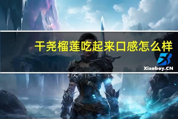 干尧榴莲吃起来口感怎么样