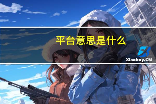 平台意思是什么