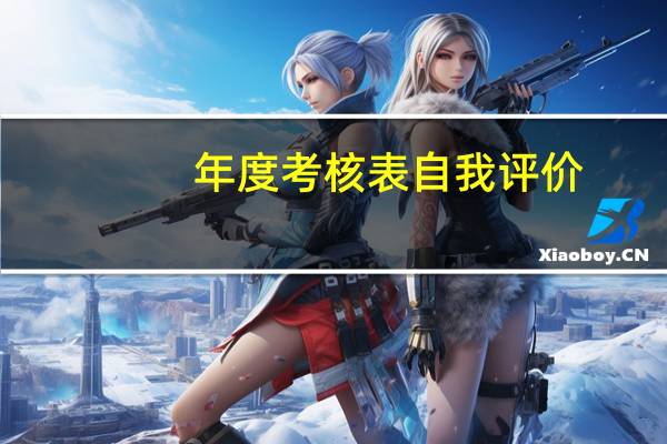 年度考核表自我评价