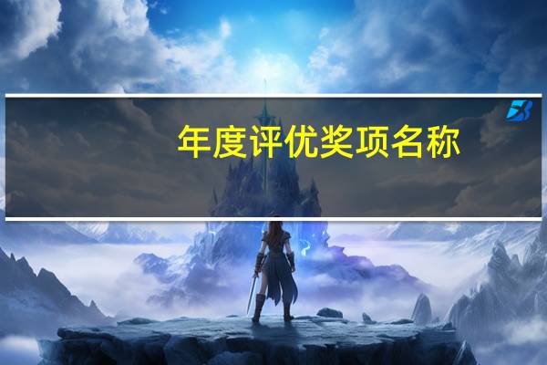 年度评优奖项名称
