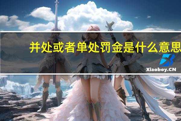 并处或者单处罚金是什么意思