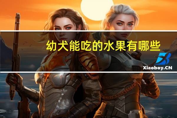 幼犬能吃的水果有哪些