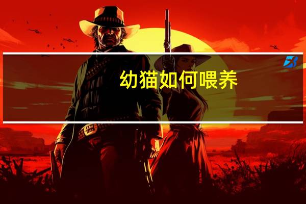 幼猫如何喂养