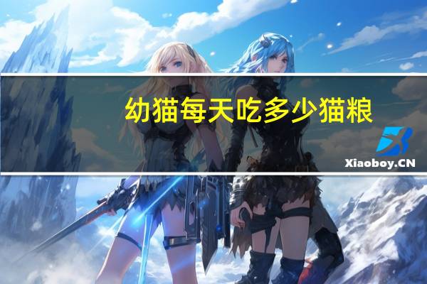 幼猫每天吃多少猫粮