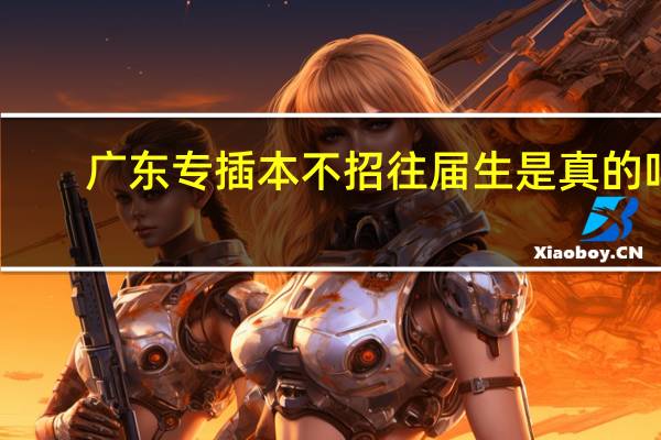 广东专插本不招往届生是真的吗
