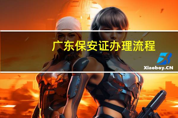广东保安证办理流程