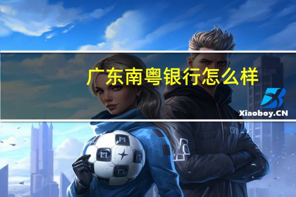 广东南粤银行怎么样
