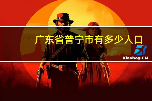 广东省普宁市有多少人口