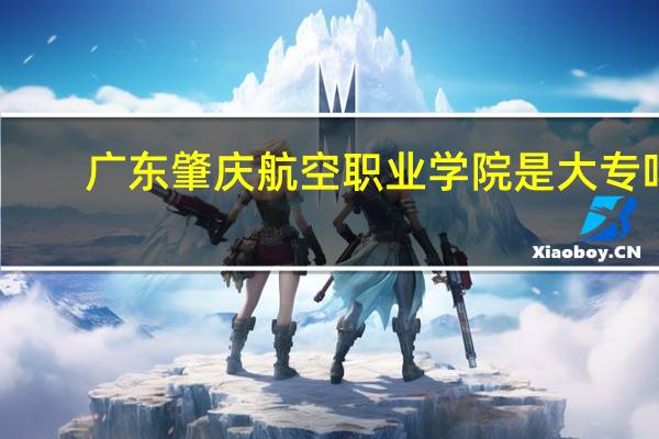 广东肇庆航空职业学院是大专吗