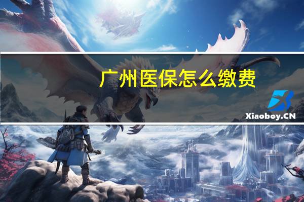 广州医保怎么缴费