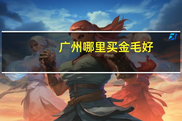 广州哪里买金毛好