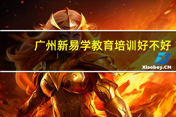 广州新易学教育培训好不好