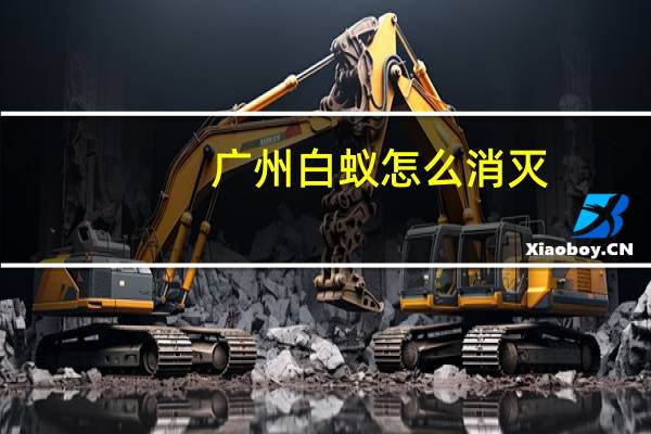 广州白蚁怎么消灭