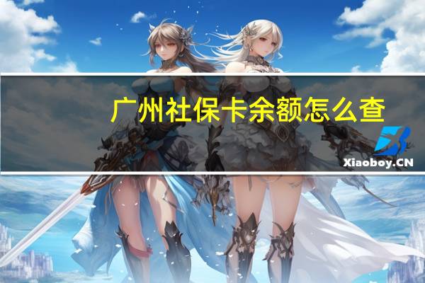 广州社保卡余额怎么查