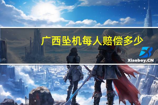 广西坠机每人赔偿多少